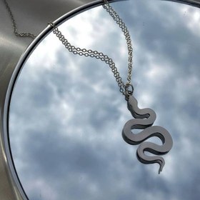 تصویر زنجیر و پلاک مار 