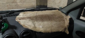 تصویر فروشگاه دیجی فرش 007