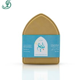 تصویر مهر محراب بقیع 