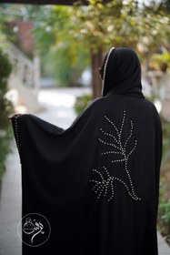 تصویر عبا مجلسی 