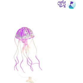 تصویر عروس دریایی آکواریوم بنفش سایز کوچک 