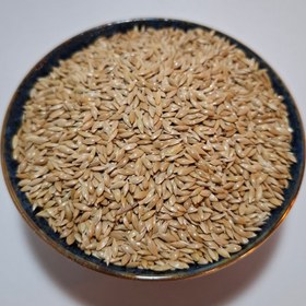 تصویر کتان بومی 