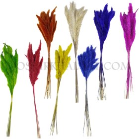 تصویر گل خشک مدل دم روباهی 