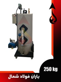 تصویر دیگ بخار 250 کیلوگرم Steam boiler - 250 kg