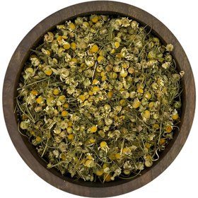 تصویر بابونه شیرازی 