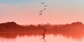 تصویر گیوه طرح هایلایت آبی 