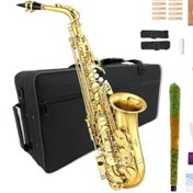 تصویر کیت آلتو ساکسیفون مبتدی برای بزرگسالان WUQIMUSC Alto Saxophone مدل guanyue024 - ارسال 30 روز کاری 