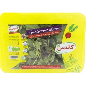 تصویر سبزی خوردن تازه کاندس 200 گرمی 