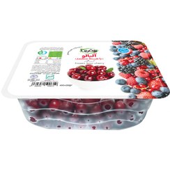 تصویر آلبالو منجمد بهفرین با هسته 