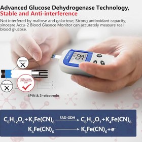 تصویر کیت تست دیابت sinocare، مانیتور قند خون، کیت تست قند خون Safe-Accu2 با نوارهای x 10 در میلی مول در لیتر sinocare Diabetes Test Kit, Blood Glucose Monitor, Safe-Accu2 Blood Sugar Testing Kit with Strips x 10 in mmol/Lsinocare Diabetes Test Kit, Blood Glucose Monitor, Safe-Accu2 Blood Sugar Testing Kit with Strips x 10 in mmol/L