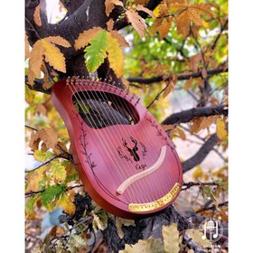 تصویر چنگ رومی سگا مدل LY16-SW 