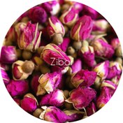 تصویر غنچه گل محمدی 