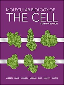 تصویر دانلود کتاب Molecular Biology of the Cell - زیست شناسی مولکولی سلول 