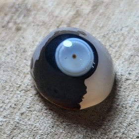 تصویر باباقوری قائن زیبا خاص. 