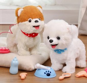 تصویر سگ کنترلی پلیشی 