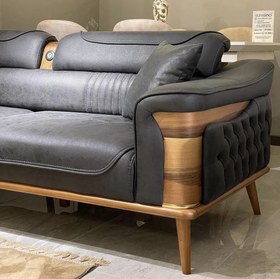 تصویر مبل راحتی مدل نیو آراد چستر Ali Sofa