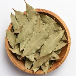 تصویر برگ بو 