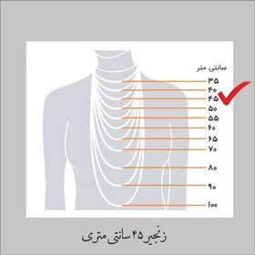 تصویر گردنبند زنانه گیوی مدل ایران طرح اسم گلی کد ER 193 