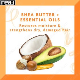 تصویر ماسك موی ترمیم كننده شی باتر كنتو 340 گرم Cantu Shea Butter Deep Treatment Masque 340 g