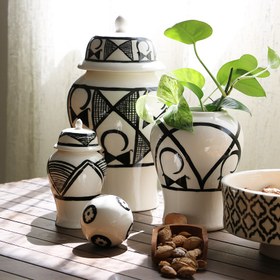 تصویر جینجرجار ایوان هانه سرام 