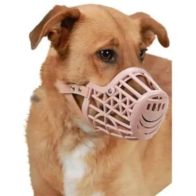 تصویر پوزه بند پلاستیکی سگ 