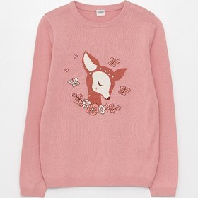 تصویر پلیور کودک / نوجوان ال سی وایکیکی lc waikiki | W32655Z4-FGV