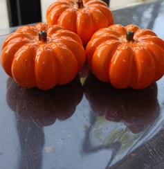 تصویر کدو تزئینی 