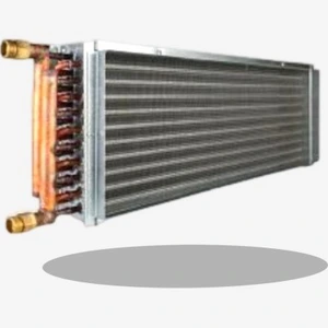 تصویر فروشگاه رویال حسینی