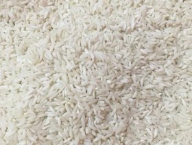 تصویر برنج علی کاظمی گیلان 10 کیلوگرم برنج آنلاین 