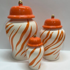 تصویر جینجرجار زبرا نارنجی 