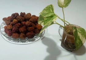 تصویر الو شابلون خشک 500 گرمی dried plums