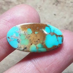 تصویر فیروزه نیشابوری طبیعی خوش رنگ 