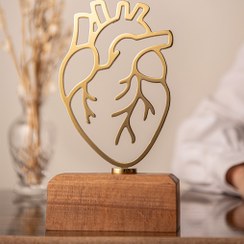 تصویر تنديس قلب پزشكى 