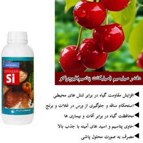 تصویر دفندر سیلیس یک لیتری فیوچراکو اسپانیا Defender Silico