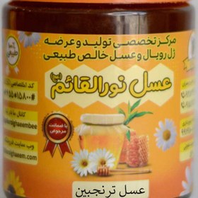 تصویر عسل ترنجبین (خارشتر) Mangosteen honey