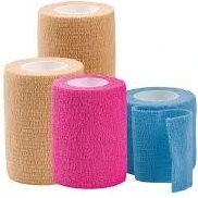 تصویر فروشگاه پت شاپ هارمونی