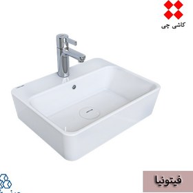 تصویر روکابینتی فیتونیا چینی کرد fitonia-chini-cord-basin