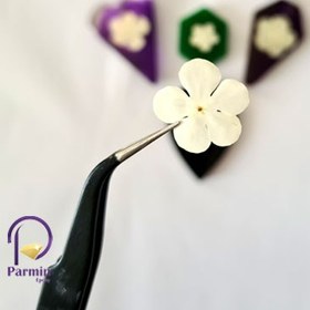 تصویر گل خشک شکوفه(10 عدد) 