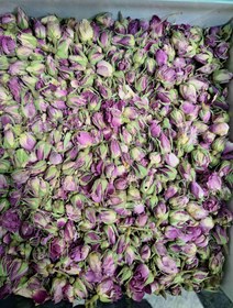 تصویر غنچه گل سرخ یا گل محمدی 