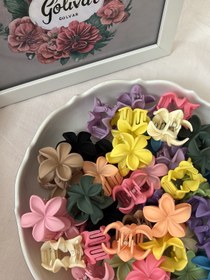 تصویر پلومریا شمعی ۴ سانتی 