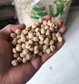 تصویر نخود سه خان(7-8-9)فی :162 - 500kg 