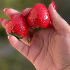 تصویر بالم لب توت فرنگی Strawberry