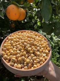 تصویر نخودچی خام درشت - ۵۰۰گرم 