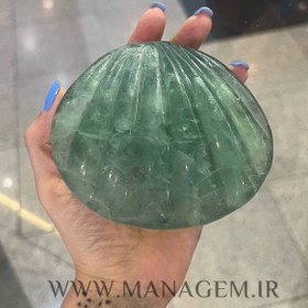 تصویر صدف فلوریت 