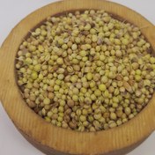 تصویر بذر گشنیز 