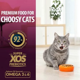 تصویر غذای خشک گربه بدغذا رفلکس پلاس چوزی 1.5 کیلویی ا Reflex Plus Premium Adult Cat Food Choosy Salmon 1.5kg Reflex Plus Premium Adult Cat Food Choosy Salmon 1.5kg
