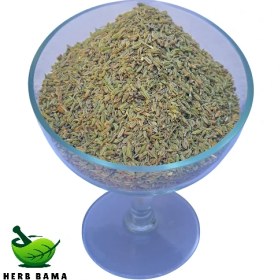 تصویر رازیانه 