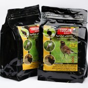 تصویر غذای مخصوص مرغ مینا توکان 