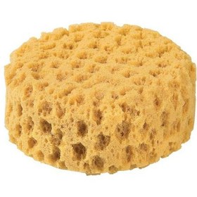 تصویر اسفنج حمام وی بیبی Wee Baby 