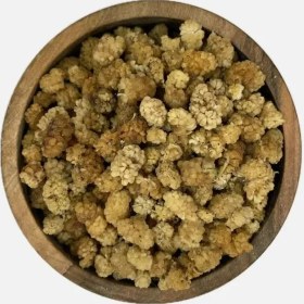 تصویر توت خشک نقلی 